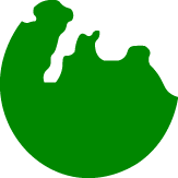 Image-IIMSAM