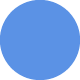 Image-IIMSAM