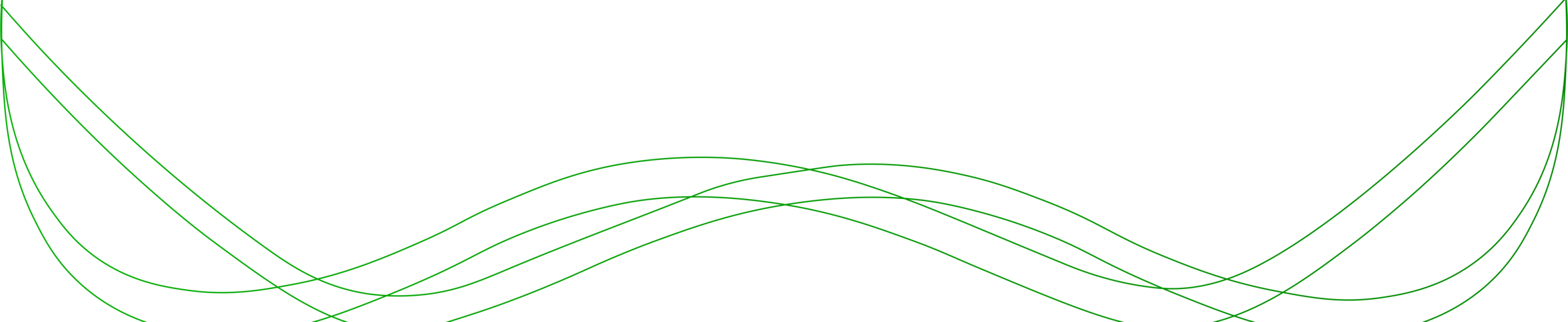 Image-IIMSAM